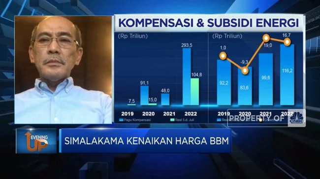 Waduh Subsidi BBM Perlu Dicabut Apa Enggak Ya?