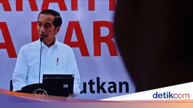 Jokowi Jawab Pro Kontra DOB: Papua Terlalu Luas Kalau Hanya 2 Provinsi
