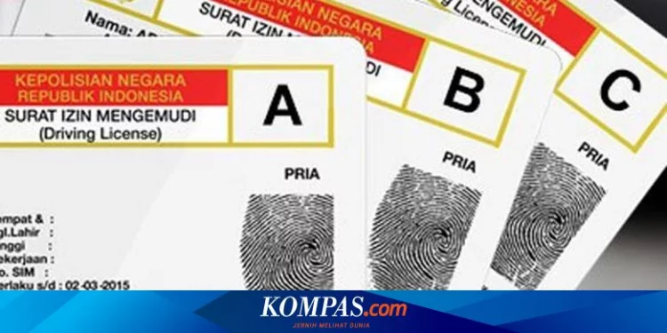 Tanpa SIM Internasional, Warga Indonesia Bisa Berkendara di Negara Ini