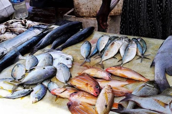 Bisa Sebabkan Stroke! Hindari 5 Jenis Ikan Ini Bagi Para Penderita Kolestrol