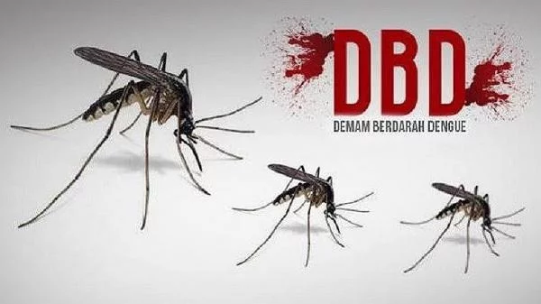 Sebulan Terakhir Ribuan Warga Jawa Barat Terserang DBD, 241 Orang Meninggal