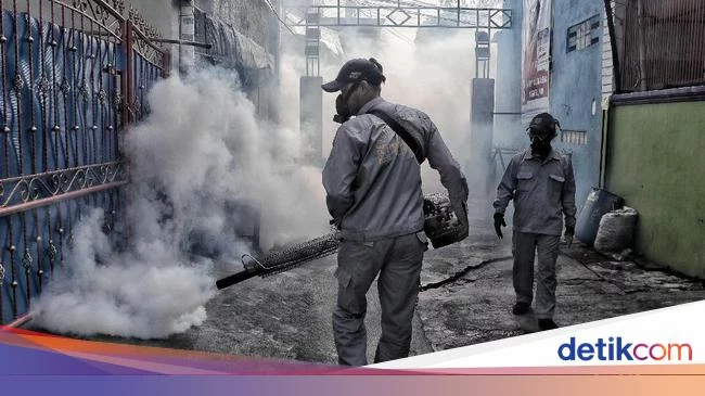 Kasus Mulai Meningkat, Kemenkes RI: Waspadai DBD di Musim Hujan!