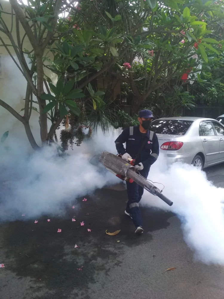 PENYEMPROTAN NYAMUK DBD DILINGKUNGAN KOMPLEK CICERI PERMAI KOTA SERANG