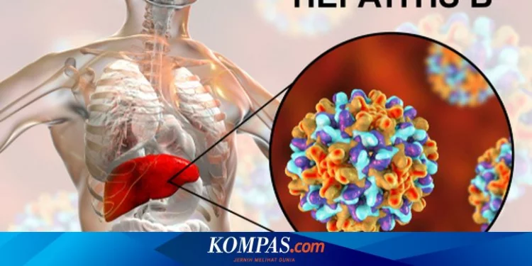 Apa Penyebab Hepatitis B? Kenali Virus Pemicu Penyakit Ini Halaman all