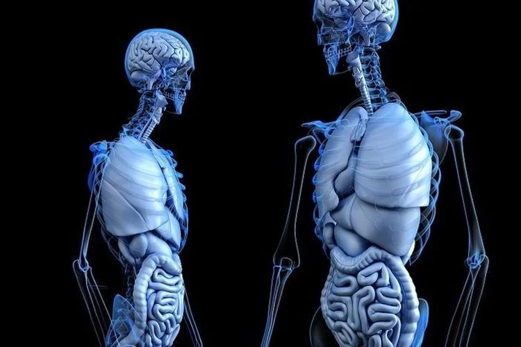 Mencegah Osteoporosis Di Usia Muda Dengan Mulai Mengkonsumsi Kandungan Kalsium