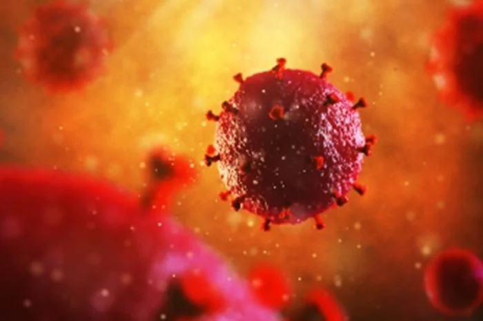 Para Ilmuwan Mengembangkan Kandidat Vaksin Baru untuk Melawan HIV