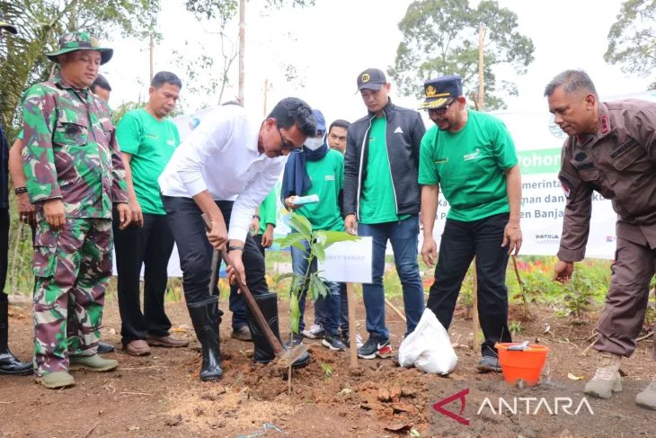 Bupati tanam bibit pohon peringati Hari Habitat Internasional - ANTARA News Kalimantan Selatan