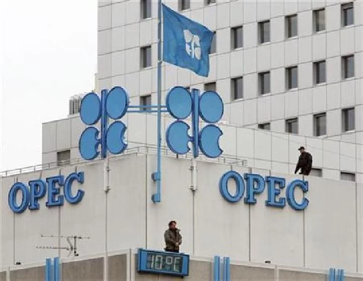 OPEC Pastikan Tak Jadikan Energi Sebagai Senjata