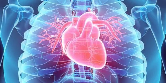 Gejala Penyakit Jantung Koroner yang Perlu Diwaspadai, Kenali Cara Mencegahnya