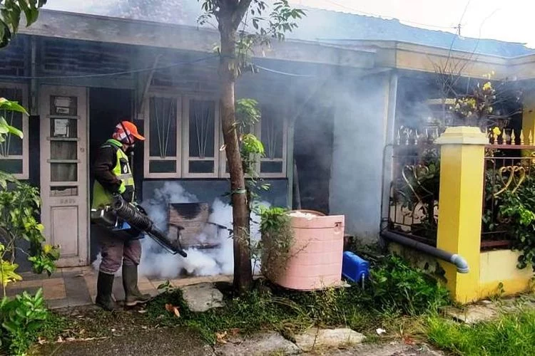 Waspada, Demam Berdarah di Kendal Sudah Telan Korban Jiwa