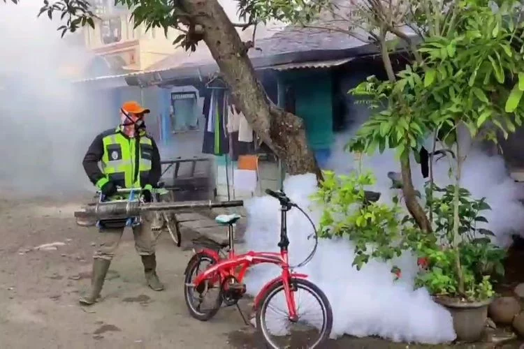 Demam Berdarah Terus Meningkat, Fogging di Kendal Digencarkan