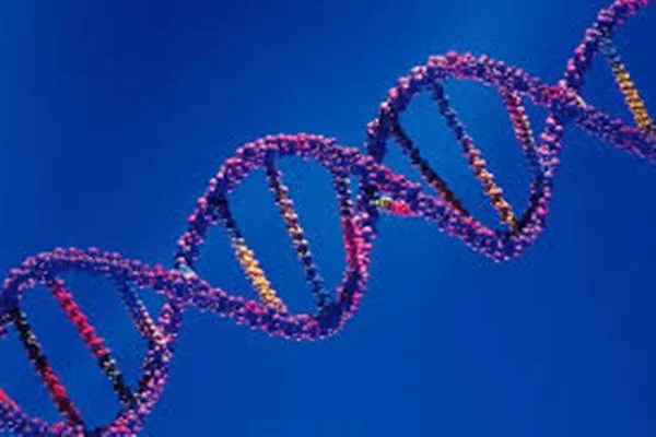 Teknologi Genome Sequencing, Cara Deteksi Medis Berbasis Genetika