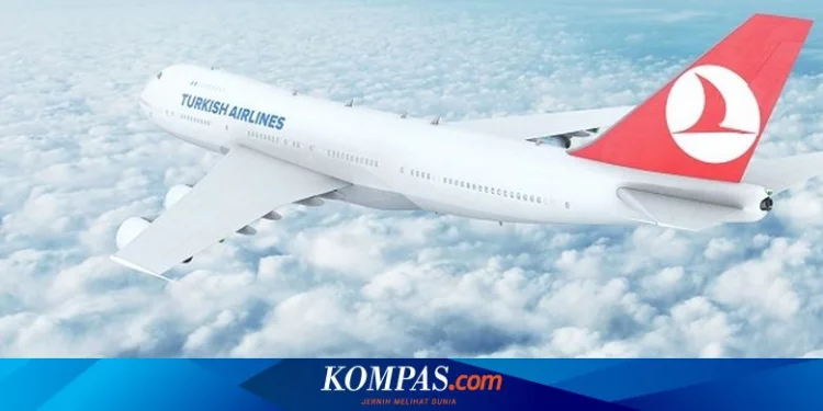 Ulah Pilot Lion Air Mabuk di Pesawat Turkish Airlines, Pukul Pramugara Berujung Dihajar Penumpang Lain... Halaman all