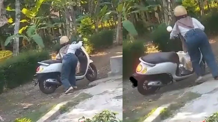 Diserang Gerombolan Angsa, Wanita Ini Berlindung di Balik Honda Scoopy