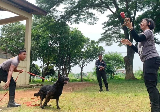 Detasemen K9 dan Turangga, Penjamin Keamanan Acara Internasional