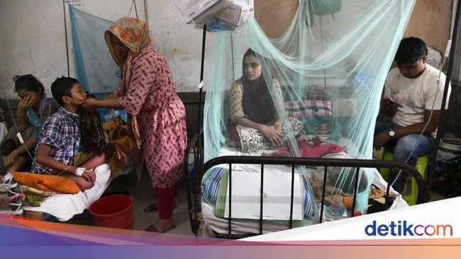 Demam Berdarah Serang Anak-anak di Bangladesh