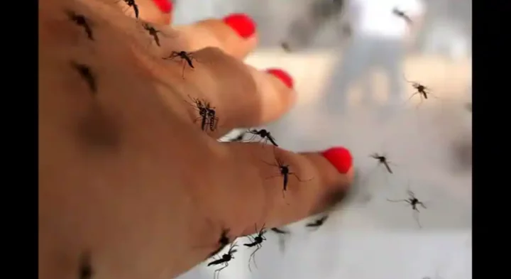 Studi Menemukan Alasan Beberapa Orang Menjadi ‘Magnet Nyamuk’