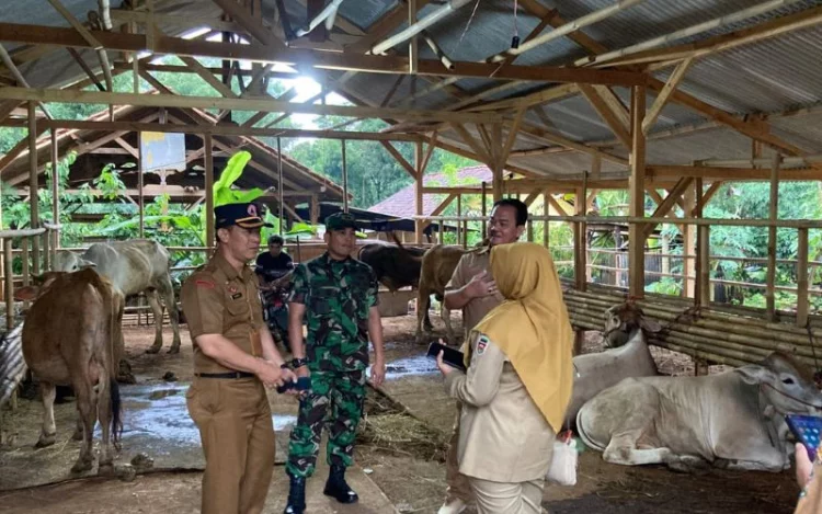 Cegah PMK, Dandim 0619 Purwakarta Lakukan Monitoring ke Pasar Hewan