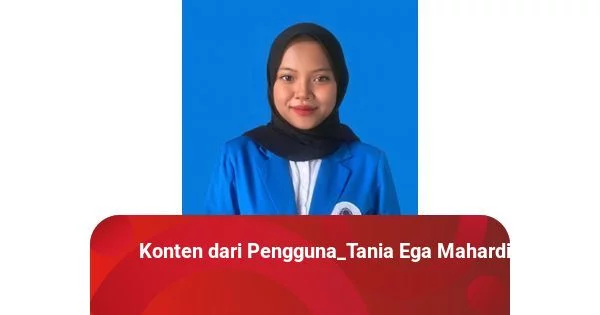 Kemiskinan, Keamanan Ekonomi Internasional dan Peran Aktor Internasional