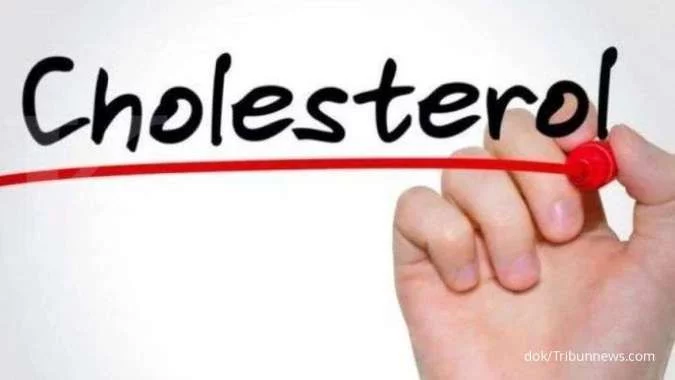Catat 6 Penyebab Kolesterol Tinggi yang Perlu Anda Perhatikan dan Waspadai