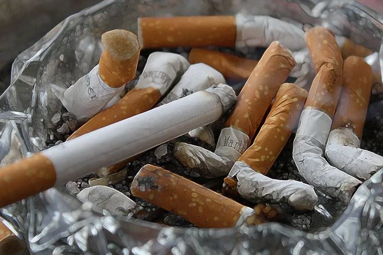 Rokok berbahaya bagi kesehatan, namun nyatanya ada sedikit manfaat juga