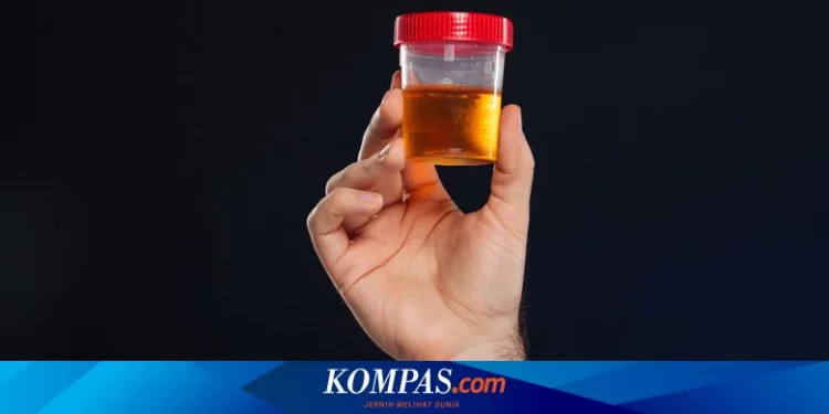 Saat Polisi Jawab Tantangan Mahasiswa Soal Tes Urine Rutin... Halaman all