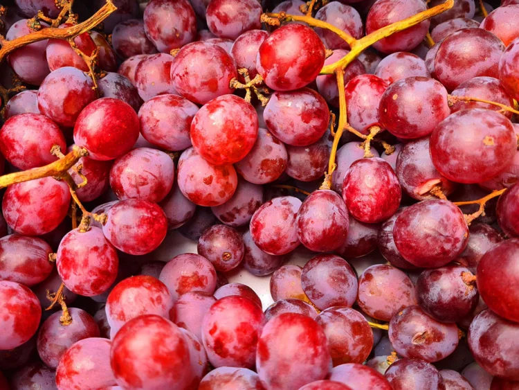 9 Manfaat Cuka Anggur yang Tidak Terduga, Baik untuk Penderita Diabetes
