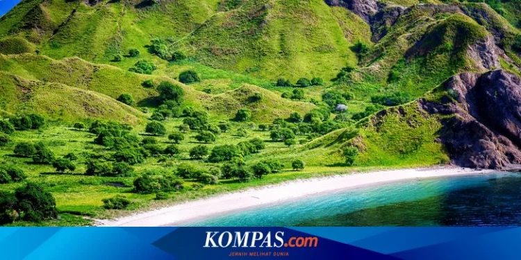 Pemerintah Segera Buka Penerbangan Internasional Langsung ke Labuan Bajo