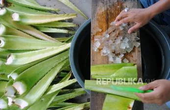 Suplemen Herbal Ini Jangan Diminum Bareng Obat, Berbahaya!