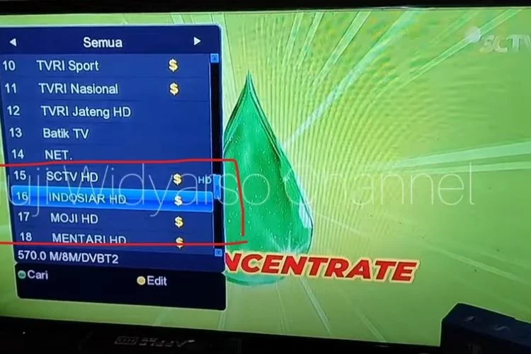 Siaran TV Digital Ada Logo Dolar Diacak, Termasuk SCTV dan Indosiar HD, Ini Cara Setting STB Biar Bisa Buka