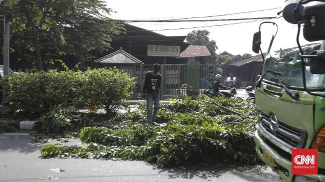 Banjir Jakarta Meluas, 68 RT di Jaksel Tergenang dan 12 Pohon Tumbang