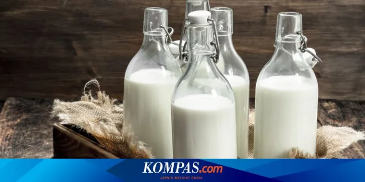 Apakah Rutin Minum Susu Bisa Membuat Otak Lebih Tajam? Halaman all