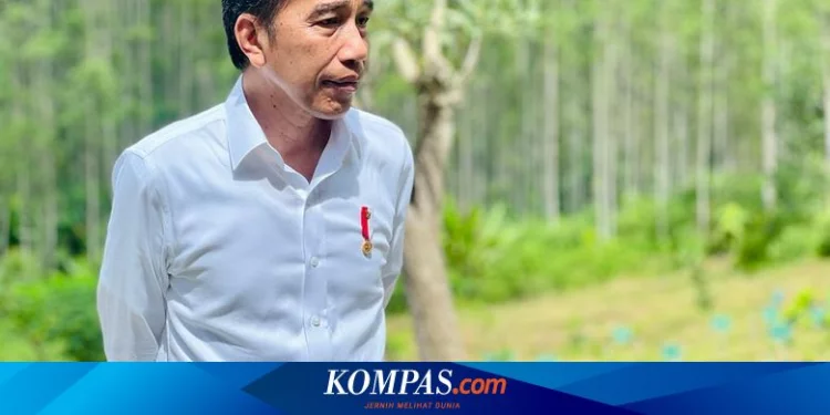 Jokowi Dapat Gelar Tokoh Perdamaian Internasional dari Abu Dhabi