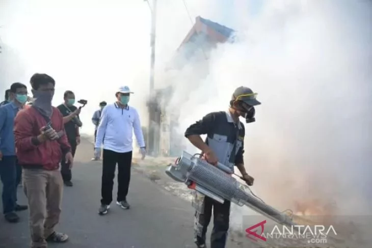 Jumlah kasus demam berdarah tahun ini di Magetan tercatat meningkat - ANTARA News Jawa Timur