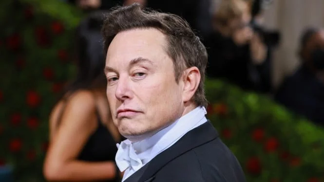 Kini Giliran Elon Musk Menyatakan Batal Datang ke G20 Bali, Ini Alasannya