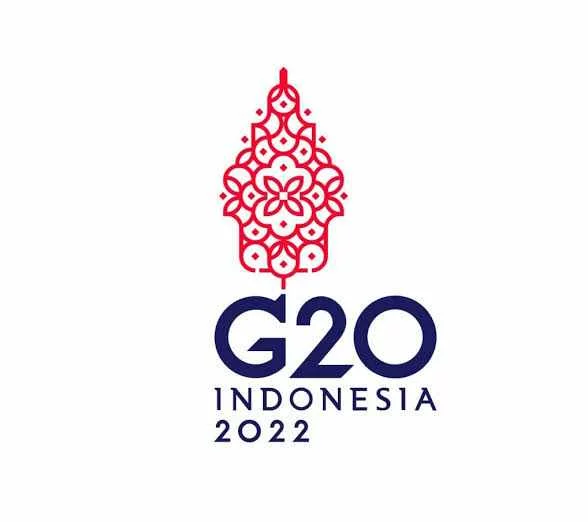 Dukungan Lembaga Internasional Penting dalam Transisi Energi di Indonesia