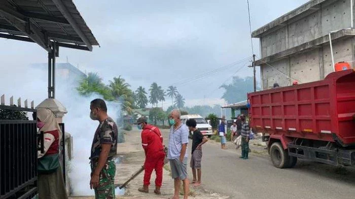 Musim Hujan Waspada Nyamuk Aedes Aegyfti Penyebab DBD, Dinkes Bengkulu Selatan: Ingat 3 M