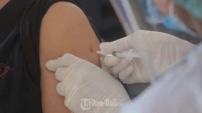 532.457 Orang di Denpasar Sudah Terima Vaksin Booster, Tertinggi di Bali - Tribun-bali.com