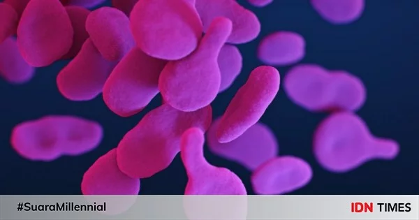 WHO: Resistansi Antimikroba adalah Ancaman Kesehatan Global