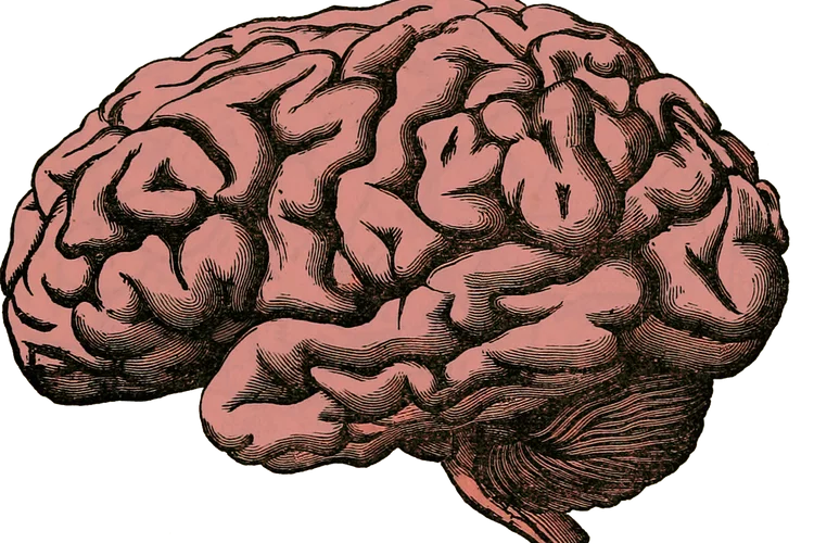 Apa itu Kanker Otak? Mulai dari Gejala, Penyebab dan Faktor Risiko