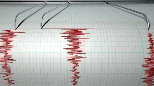 Gempa Magnitudo 5,3 di Maluku Tenggara, Tak Berpotensi Tsunami