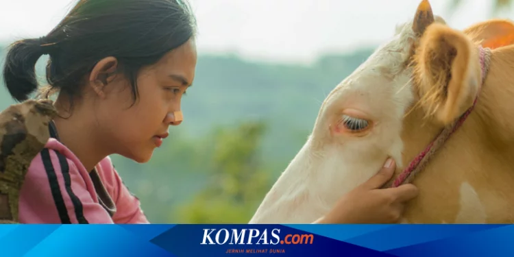Sinopsis Film Marsiti & Sapi-Sapi, Tayang di JAFF 2022