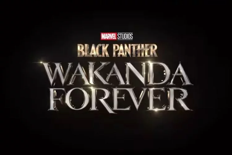 Sinopsis dan Link Nonton Film Black Panther: Wakanda Forever Subs Indo, Bukan di Rebahin atau LK21