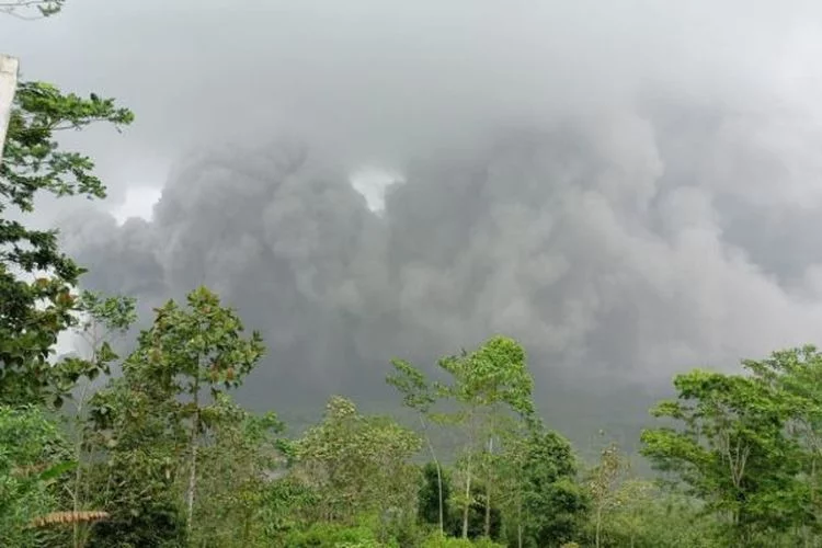 UPDATE Peristiwa Gunung Semeru: Sebanyak 1.979 Jiwa Mengungsi di 11 Titik