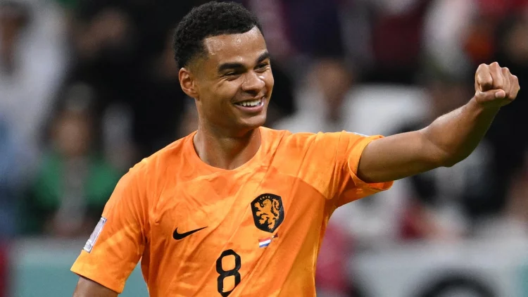 Bintang Belanda Cody Gakpo Tunggu Tawaran Manchester United Setelah Piala Dunia 2022