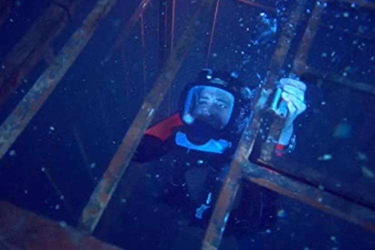 Sinopsis Film 47 Meters Down, Aksi Menegangkan Kakak Beradik yang Berjuang Hidup dari Serangan Hiu Ganas