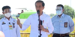 Jokowi Teken Perppu Pemilu, KPU di 4 Provinsi Baru Papua Segera Dibentuk