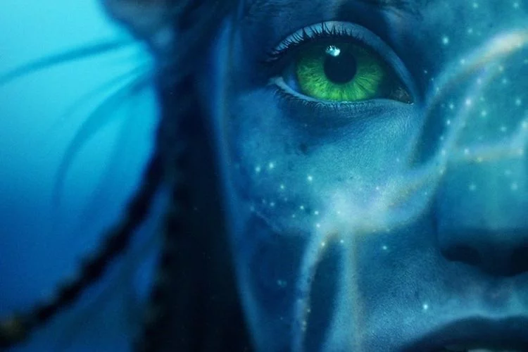 Sinopsis Film Avatar 2 The Way of Water, Simaklah Dulu Baru Menonton!