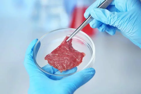 Amerika Legalkan Daging Buatan Laboratorium, Diklaim Mirip dengan Asli