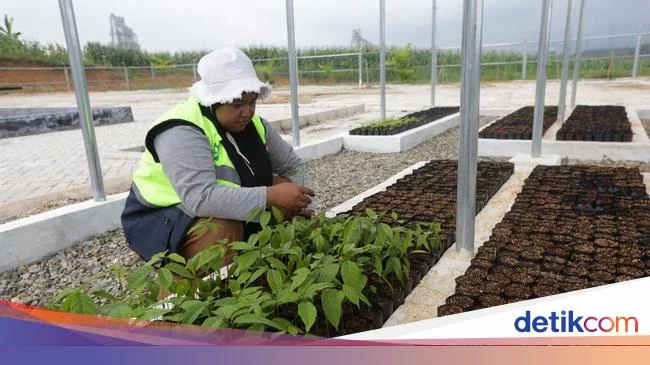 Mengunjungi Edupark Pertanian dan Peternakan Terpadu di Rembang